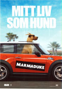 Marmaduke 2010 poster Owen Wilson Judy Greer Lee Pace Hundar Bilar och racing