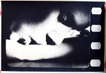 Persona 1966 filmfotos Liv Ullmann Bibi Andersson Margaretha Krook Gunnar Björnstrand Ingmar Bergman