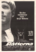 Råttorna 1971 poster Bruce Davison Sondra Locke Elsa Lanchester Daniel Mann