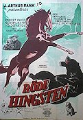 Röde hingsten 1947 poster Robert Paige Hästar