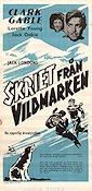 Skriet från vildmarken 1935 poster Clark Gable Loretta Young Text: Jack London Berg