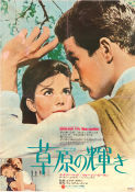 Splendor in the Grass 1961 poster Natalie Wood Warren Beatty Pat Hingle Elia Kazan