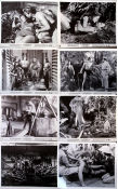 Tarzan and the She-Devil 1953 filmfotos Lex Barker Joyce Mackenzie Kurt Neumann Hitta mer: Tarzan