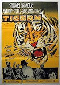 Tigern 1958 poster Stewart Granger Anthony Steel Katter