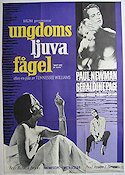 Ungdoms ljuva fågel 1962 poster Paul Newman Geraldine Page