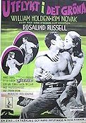 Utflykt i det gröna 1956 poster William Holden Kim Novak