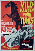 Vildhästen från Tunis 1951 poster Jeff Chandler Maureen O´Hara Maxwell Reed Charles Lamont Äventyr matinée Hästar