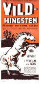 Vildhingsten 1957 poster Don Megowan Molly McGowan Claire Kelly Dorrell McGowan Hästar