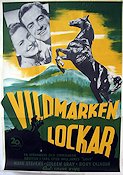 Vildmarken lockar 1949 poster Mark Stevens Coleen Gray Rory Calhoun Louis King Berg Hästar