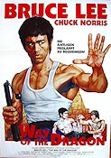 The Way of the Dragon 1972 poster Chuck Norris Nora Miao Bruce Lee Kampsport