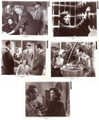 Whirlpool 1950 filmfotos Gene Tierney Richard Conte José Ferrer Otto Preminger Film Noir